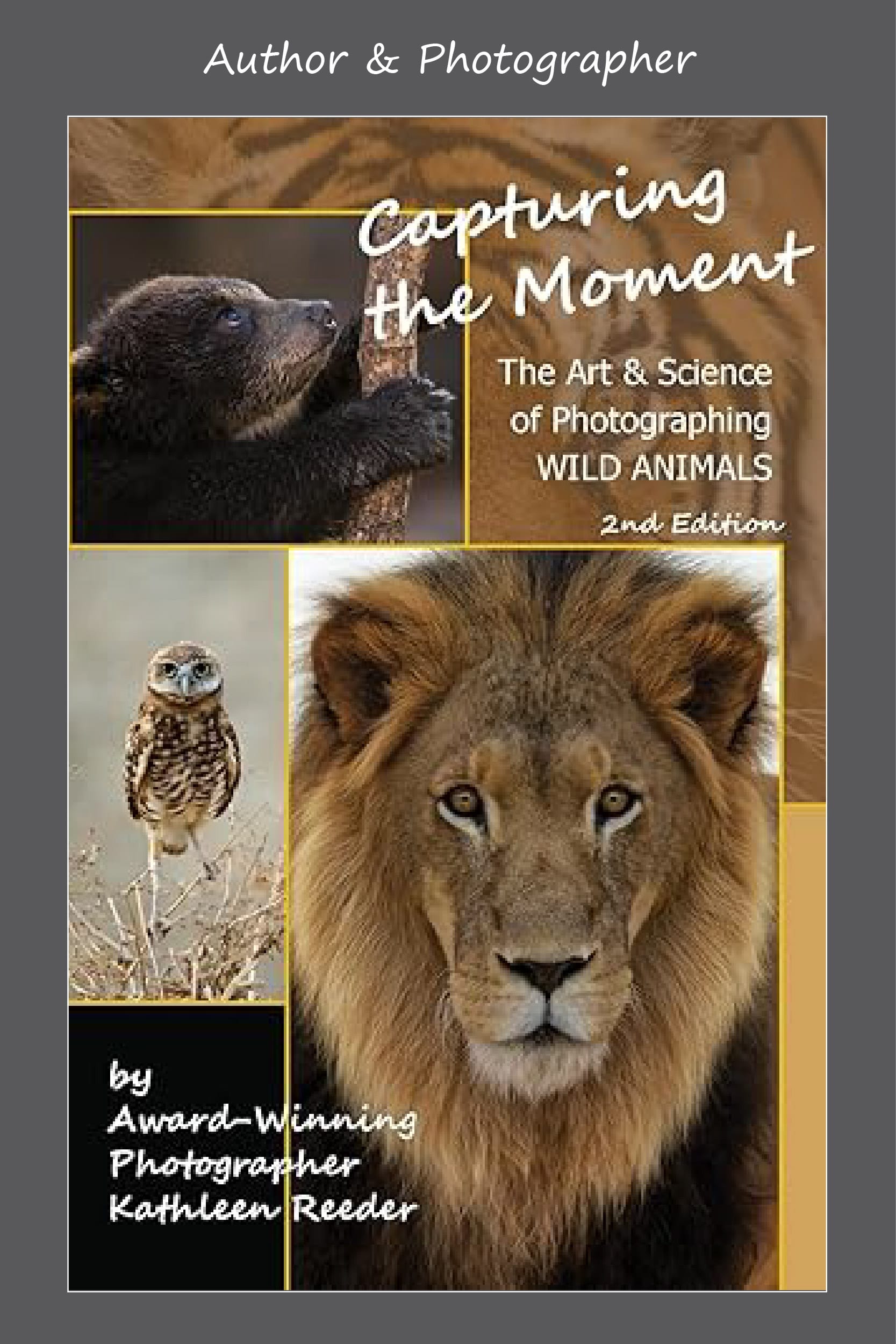 Kathleen Cover Framed